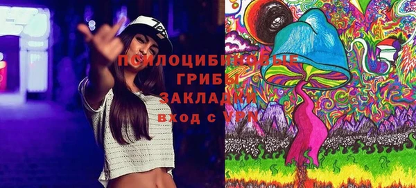 2c-b Нягань