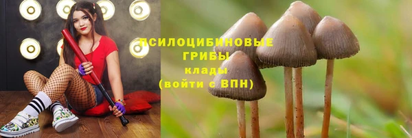 марки nbome Няндома