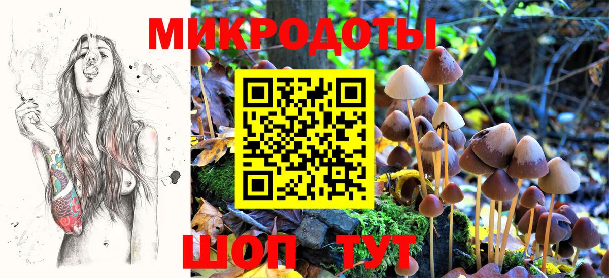 закладки  Вход с VPN  Сафоново  Псилоцибиновые грибы ЛСД 