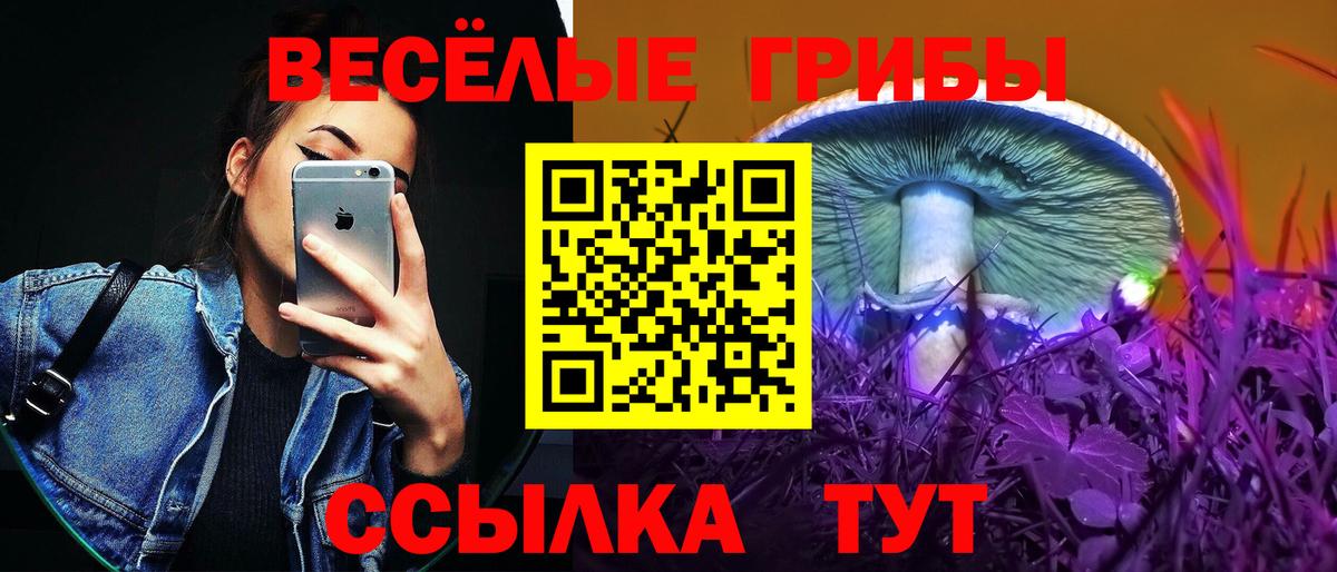 Галлюциногенные грибы Cubensis  Сафоново  как найти закладки  Галлюциногенные грибы Cubensis 