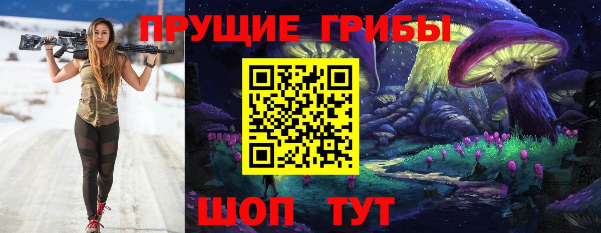 Галлюциногенные грибы Psilocybe Сафоново